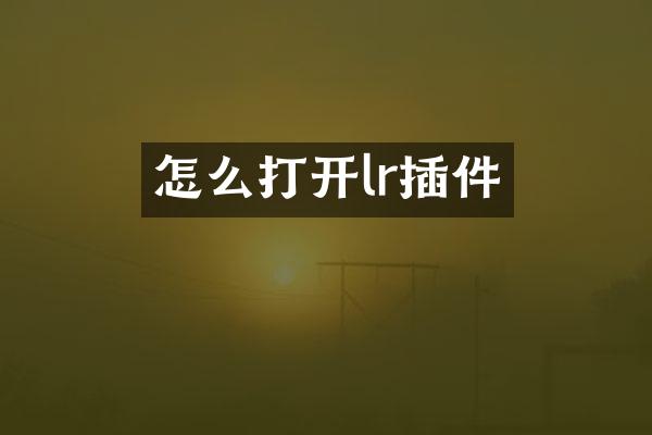 怎么打开lr插件