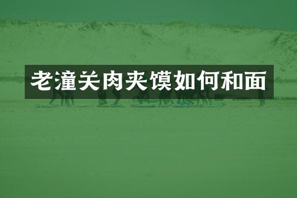老潼关肉夹馍如何和面