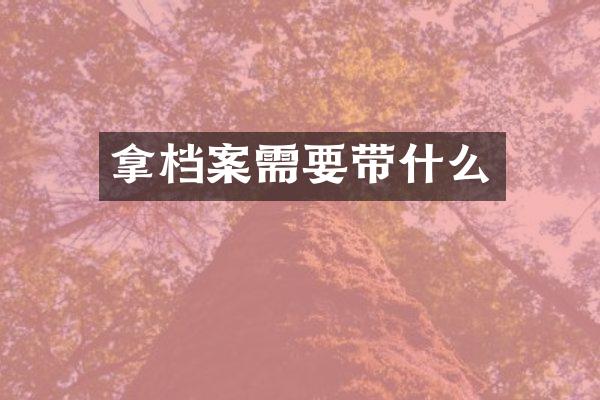 拿档案需要带什么