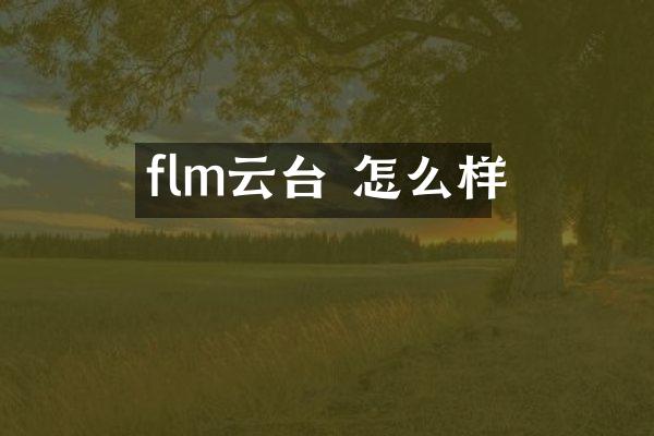 flm云台 怎么样