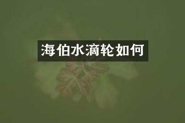 海伯水滴轮如何