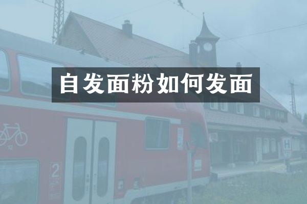 自发面粉如何发面