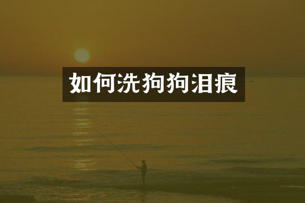 如何洗狗狗泪痕