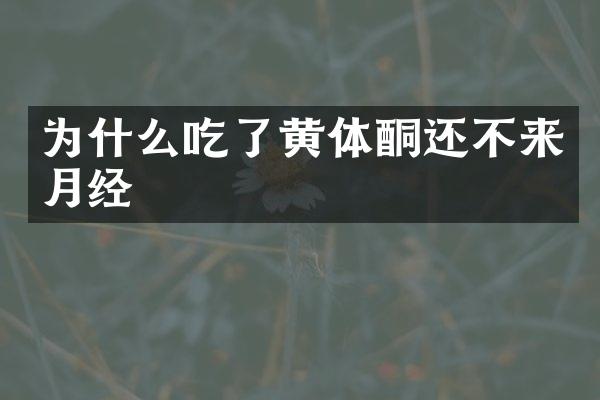 为什么吃了黄体酮还不来月经