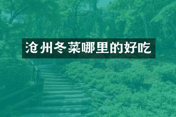 沧州冬菜哪里的好吃