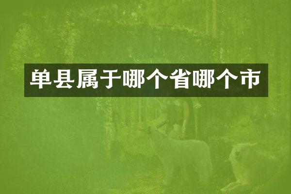 单县属于哪个省哪个市