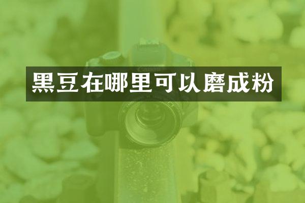 黑豆在哪里可以磨成粉