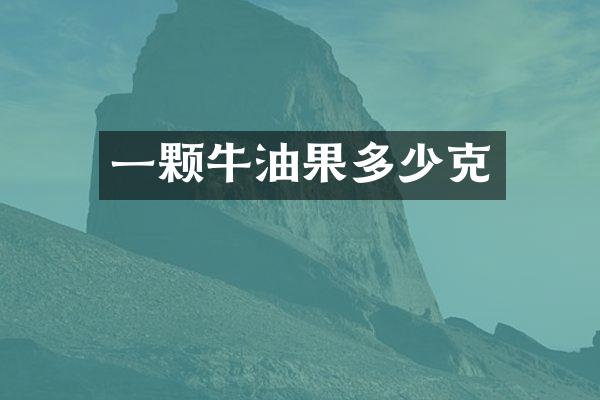 一颗牛油果多少克
