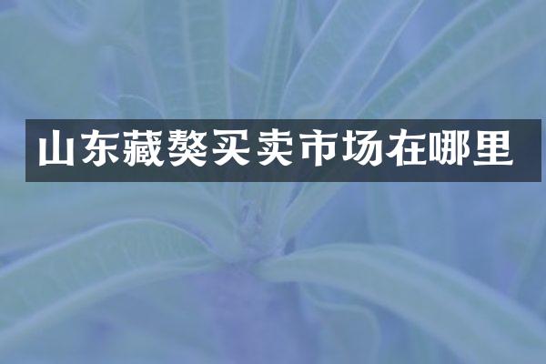 山东藏獒买卖市场在哪里