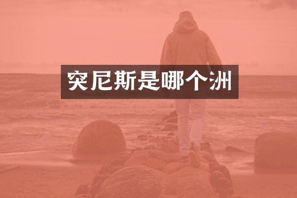 突尼斯是哪个洲