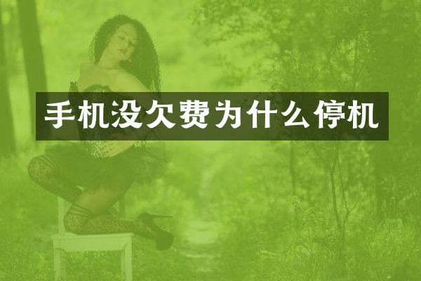 手机没欠费为什么停机