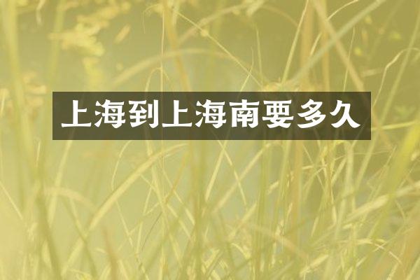 上海到上海南要多久