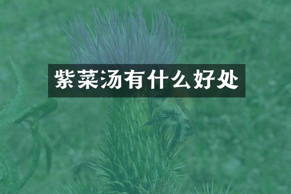 紫菜汤有什么好处