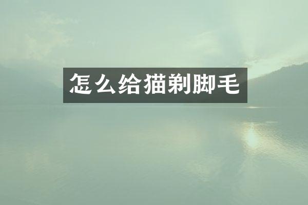 怎么给猫剃脚毛