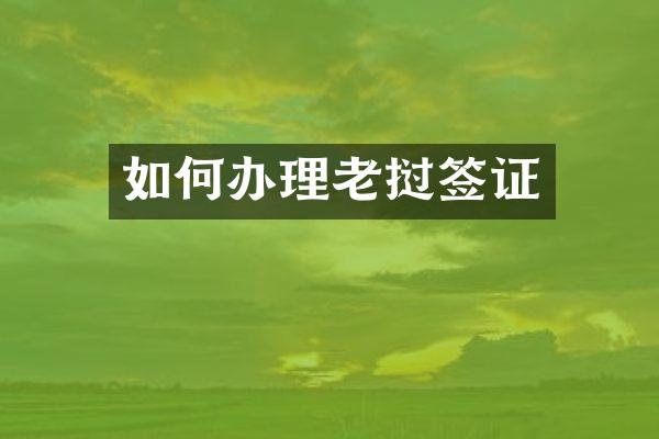 如何办理老挝签证