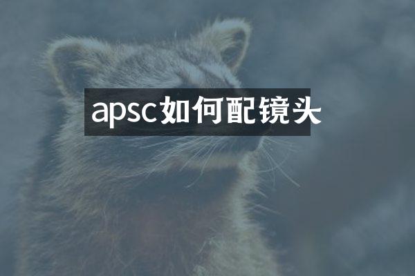 apsc如何配镜头
