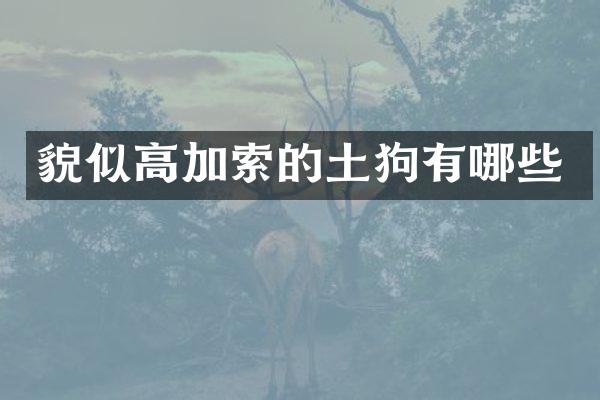 貌似高加索的土狗有哪些
