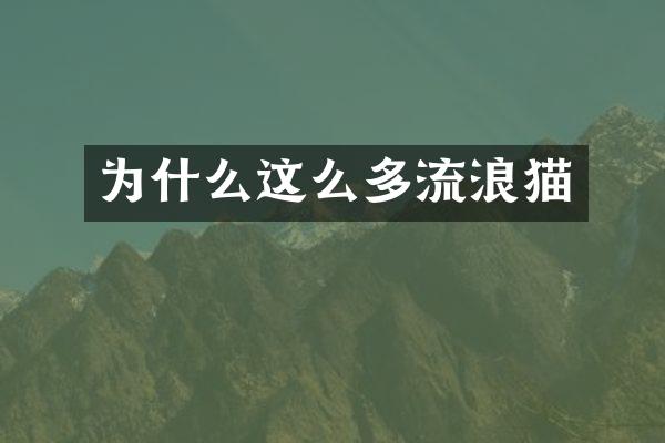为什么这么多流浪猫