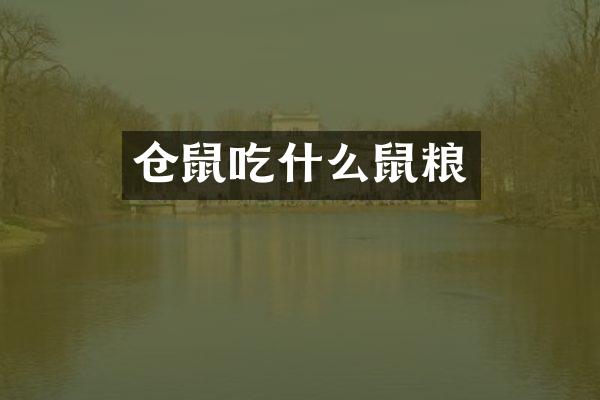 仓鼠吃什么鼠粮