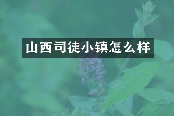 山西司徒小镇怎么样
