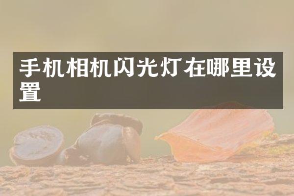 手机相机闪光灯在哪里设置