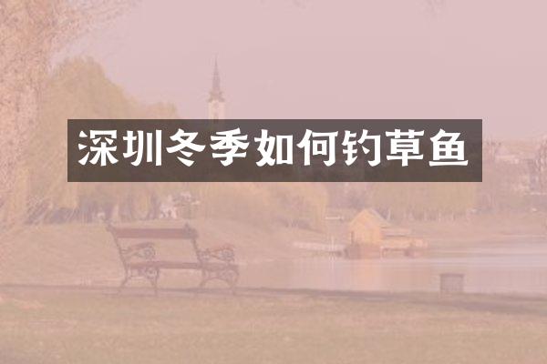 深圳冬季如何钓草鱼