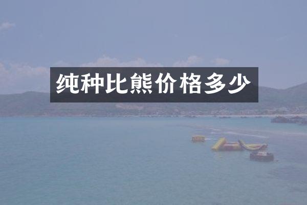 纯种比熊价格多少