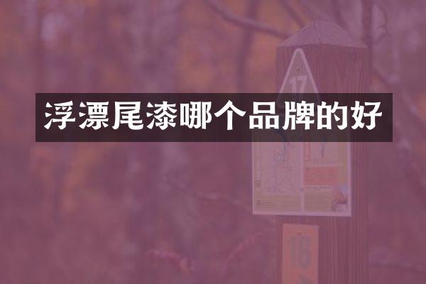 浮漂尾漆哪个品牌的好