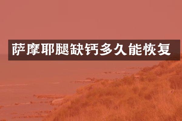 萨摩耶腿缺钙多久能恢复