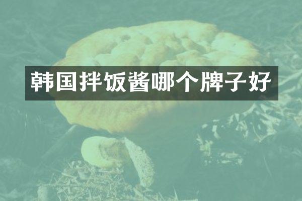 韩国拌饭酱哪个牌子好