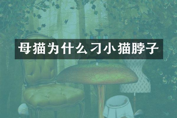 母猫为什么刁小猫脖子