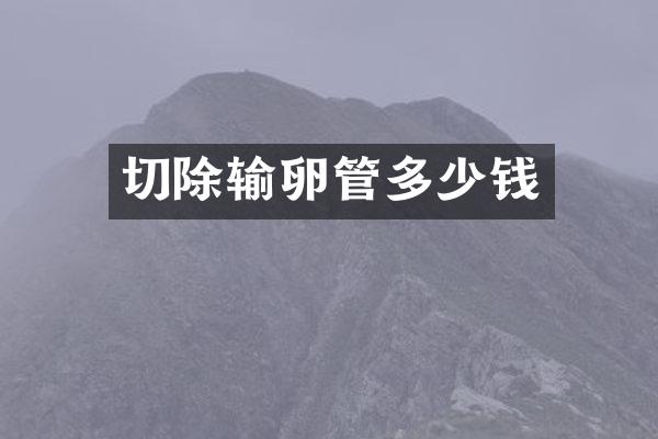 切除输卵管多少钱