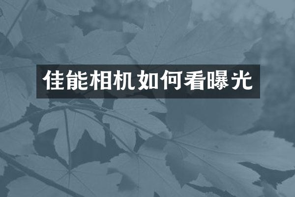 佳能相机如何看曝光
