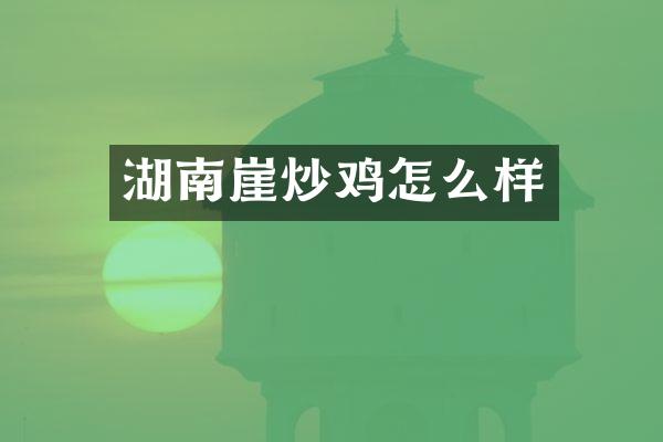 湖南崖炒鸡怎么样