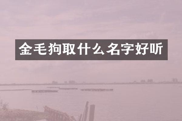 金毛狗取什么名字好听