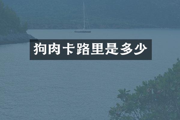 狗肉卡路里是多少