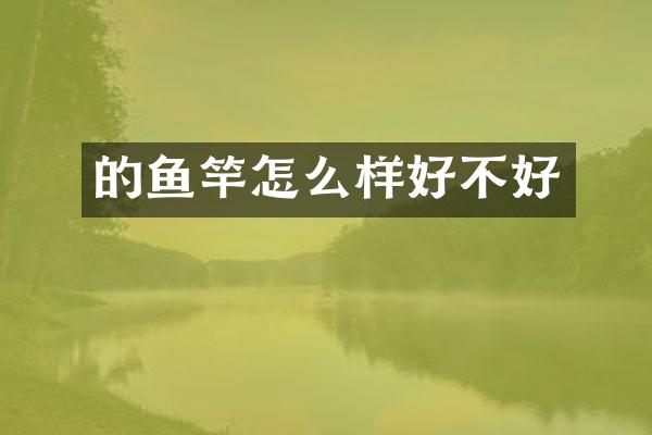 的鱼竿怎么样好不好