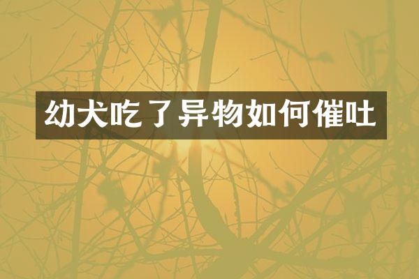 幼犬吃了异物如何催吐