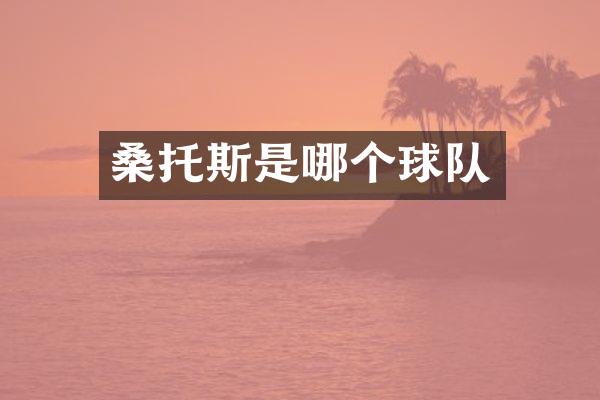 桑托斯是哪个球队