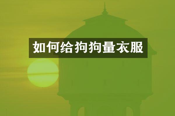 如何给狗狗量衣服