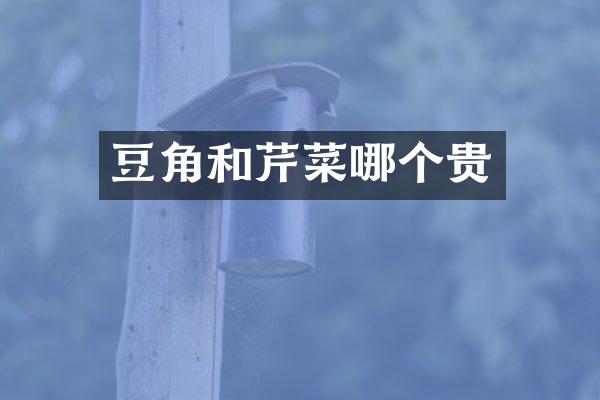 豆角和芹菜哪个贵