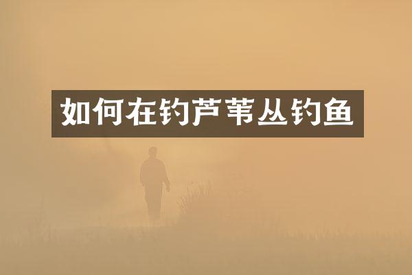 如何在钓芦苇丛钓鱼