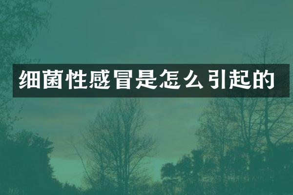 细菌性感冒是怎么引起的