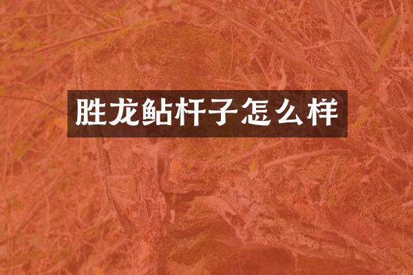 胜龙鲇杆子怎么样