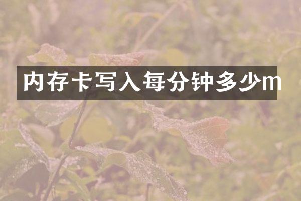 内存卡写入每分钟多少m