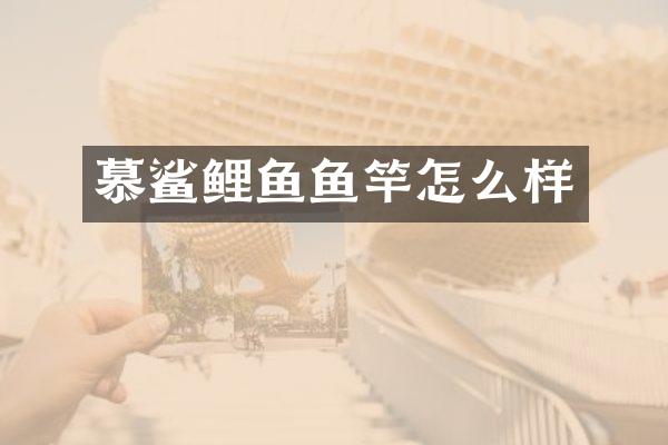 慕鲨鲤鱼鱼竿怎么样