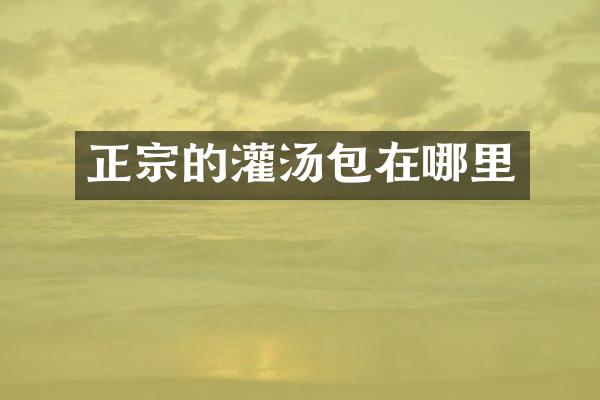 正宗的灌汤包在哪里