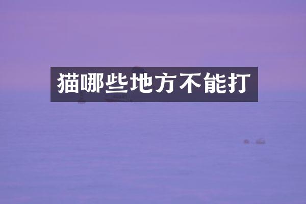 猫哪些地方不能打