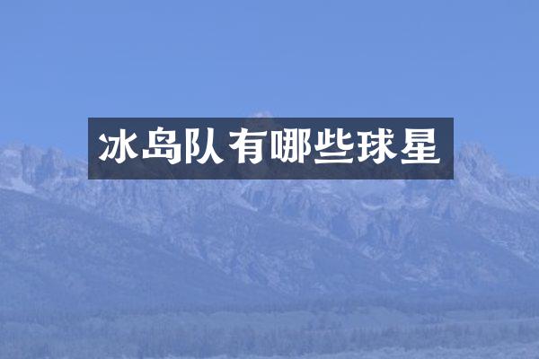 冰岛队有哪些球星