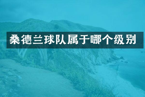 桑德兰球队属于哪个级别